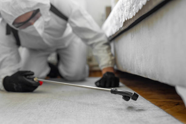 Professional Ant Control technician working in Saugatuck, CT