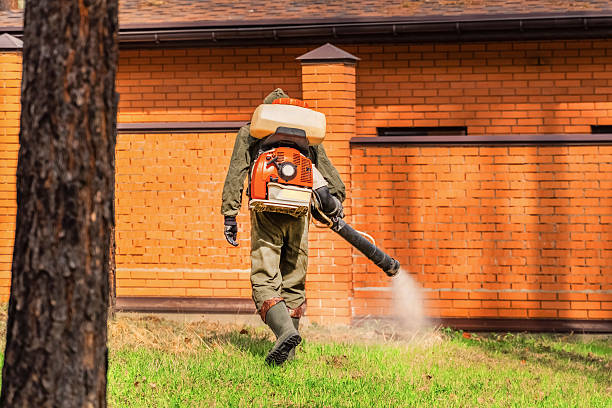 Trusted Bed Bug Control service in Saugatuck, CT - Nex Pest Control